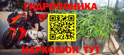 твердый Краснодар