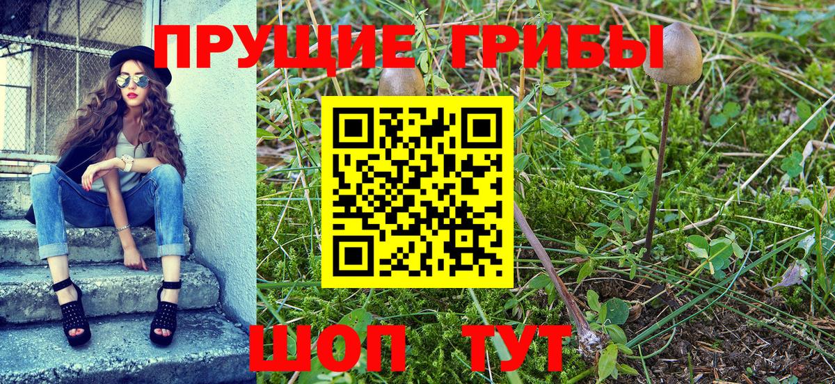 Псилоцибиновые грибы мухоморы  Вход с VPN  Кимры 